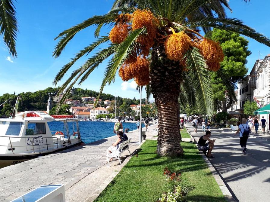 Apartments Rilovic, City And Sea View Apartments Cavtat Exterior photo